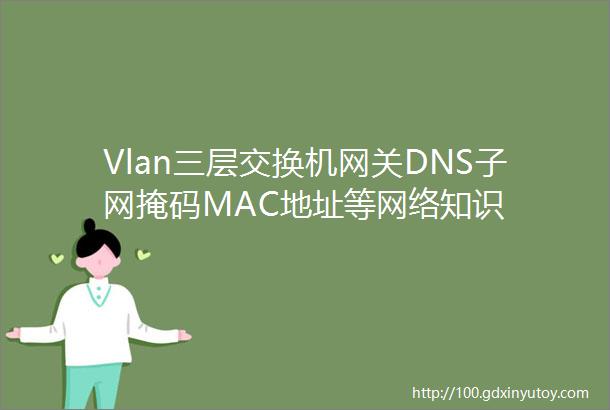 Vlan三层交换机网关DNS子网掩码MAC地址等网络知识